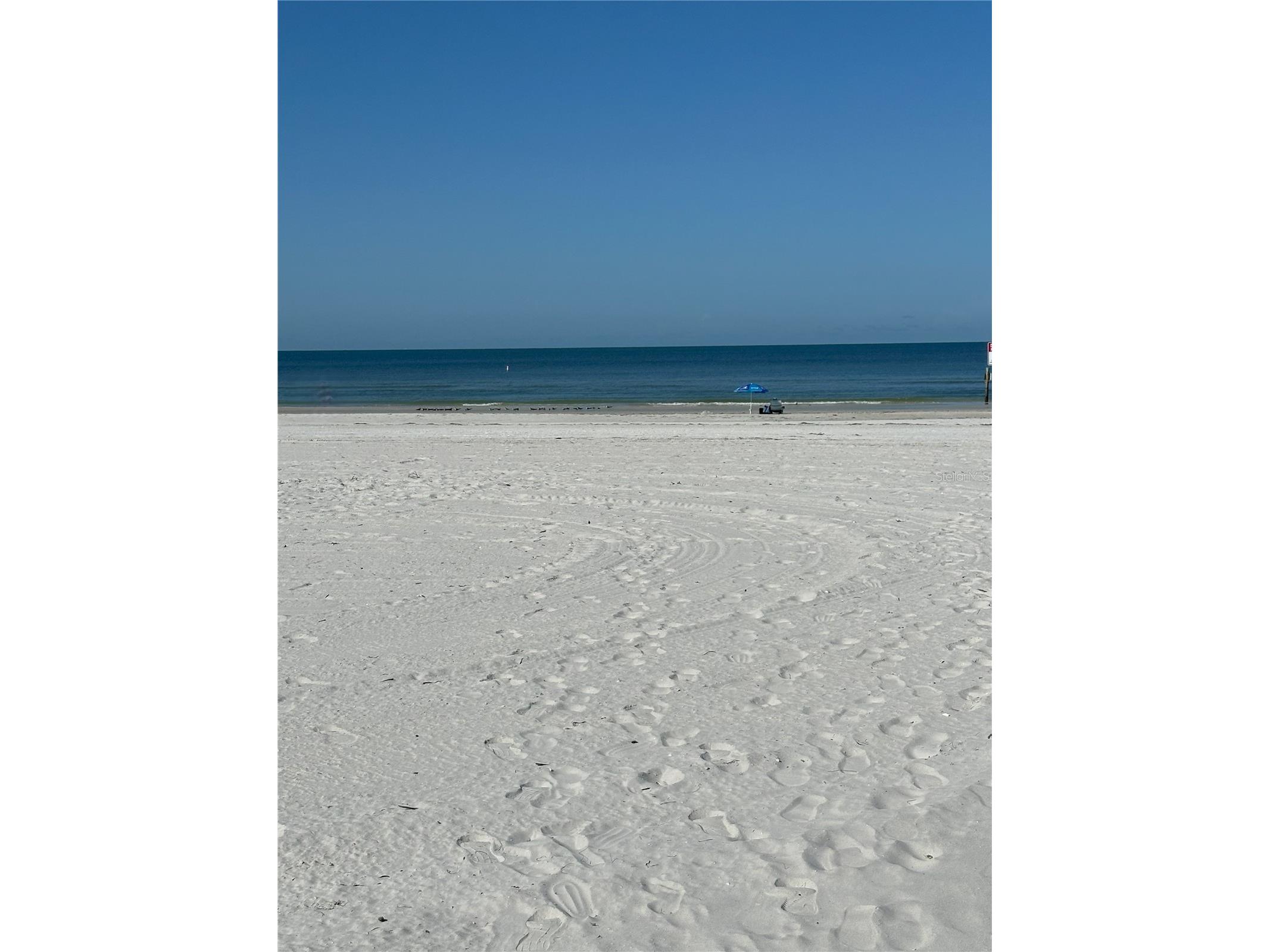 181st Ave W Redington Shores FL 33708 TB8528352 image16
