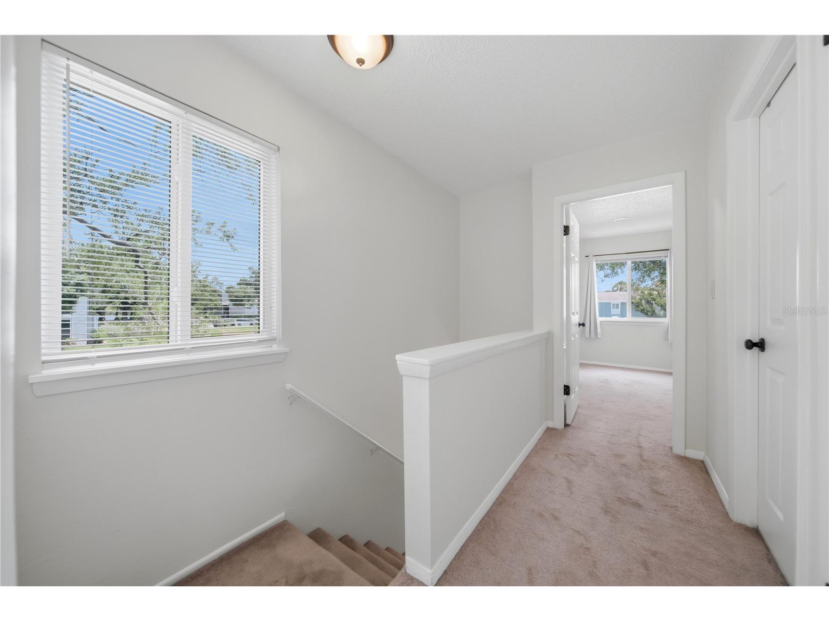 182 115th Avenue N #182 Saint Petersburg FL 33716 TB8519265 image13