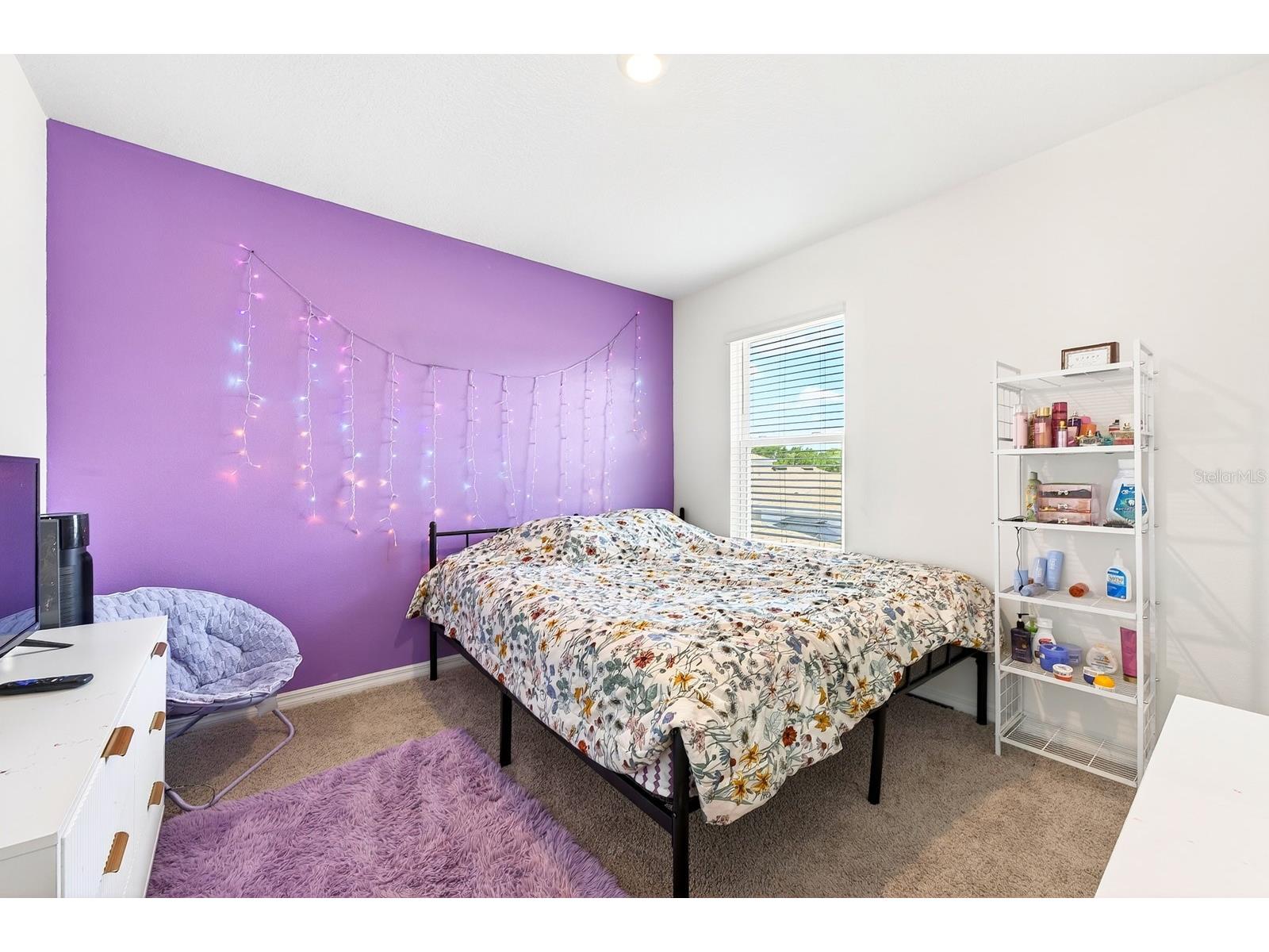 182 Amberwood Way Umatilla FL 32784 O6400854 image17