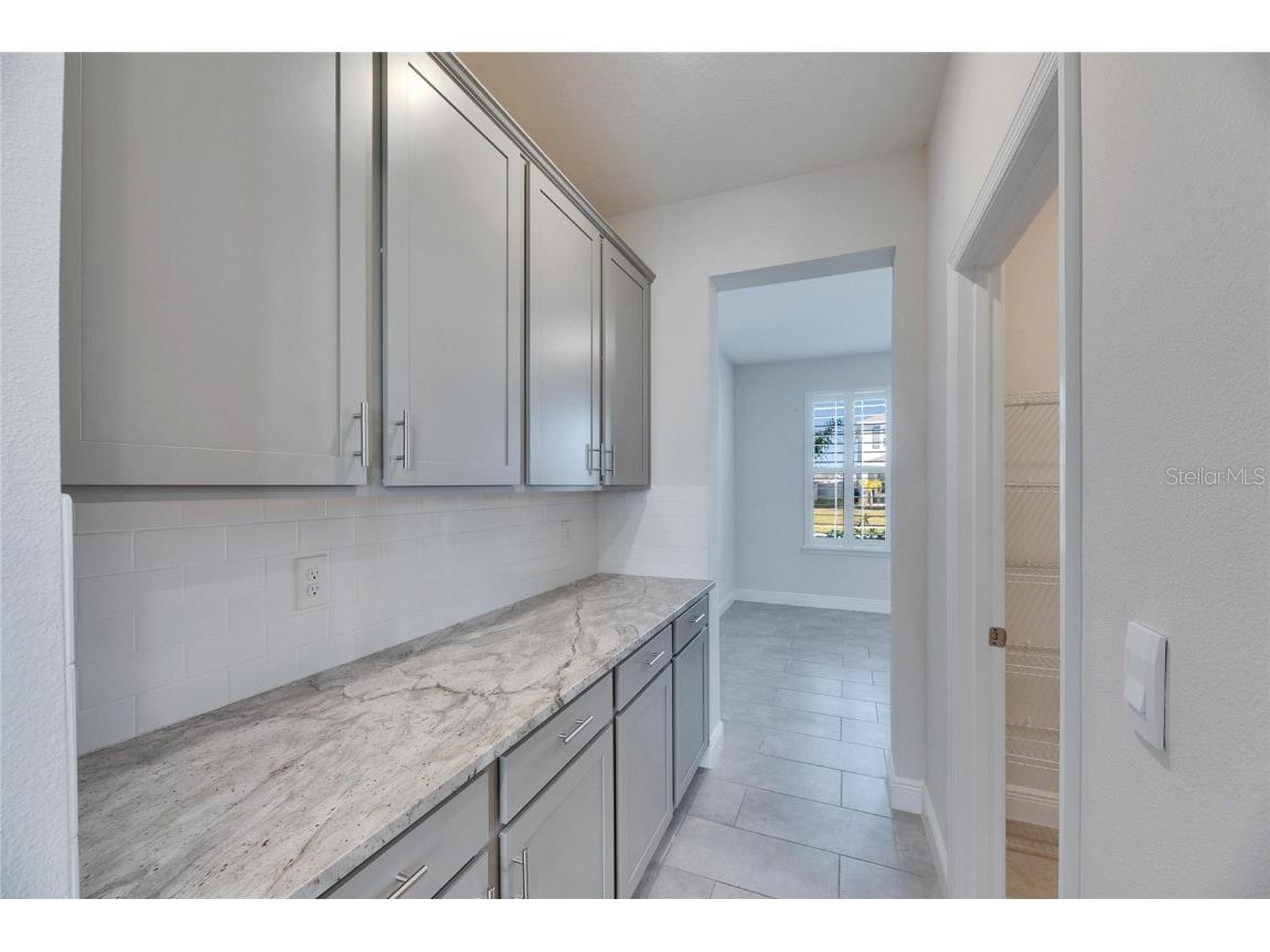 182 Mangrove Manor Drive Apollo Beach FL 33572 TB8462275 image14