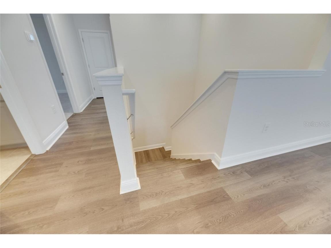 182 Mangrove Manor Drive Apollo Beach FL 33572 TB8462275 image20