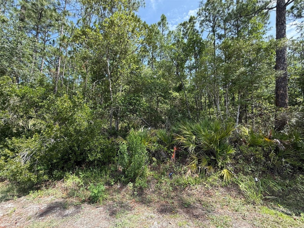 182 Millican Road Palatka FL 32177 OK225195 image2