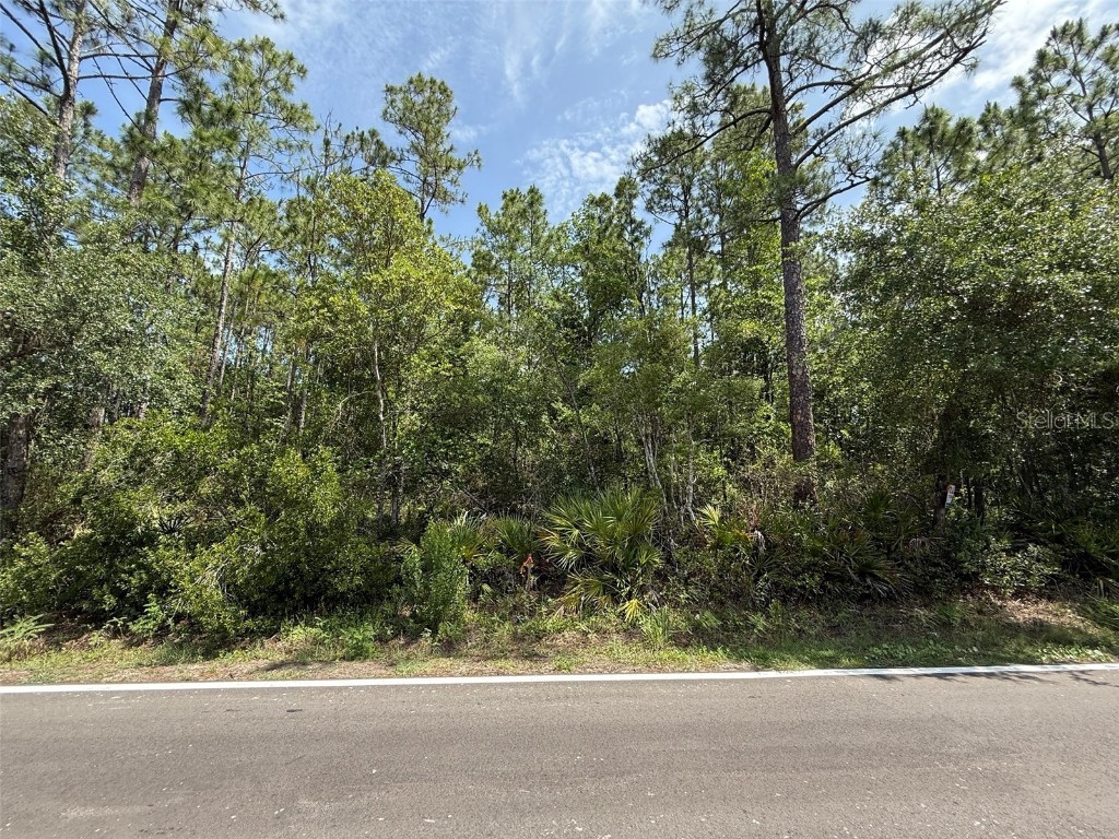 182 Millican Road Palatka FL 32177 OK225195 image4