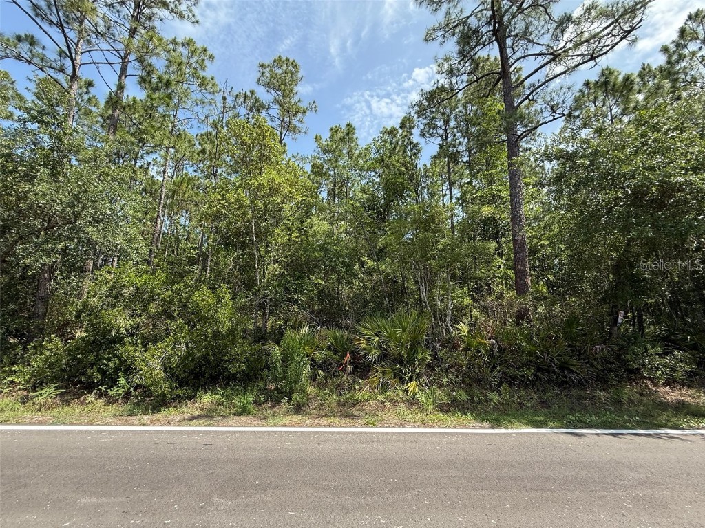 182 Millican Road Palatka FL 32177 OK225195 image5