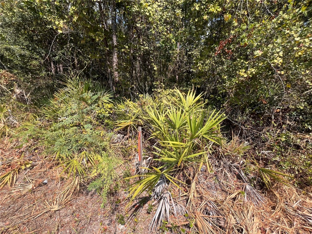 182 Millican Road Palatka FL 32177 OK225195 image6