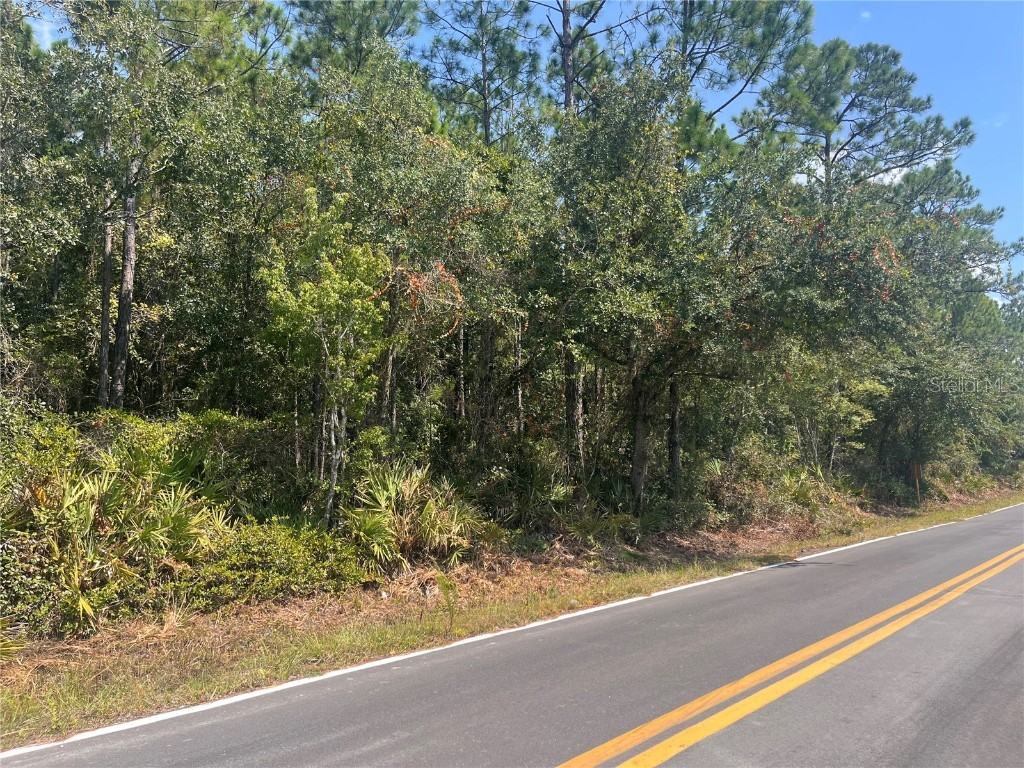 182 Millican Road Palatka FL 32177 OK225195 image8