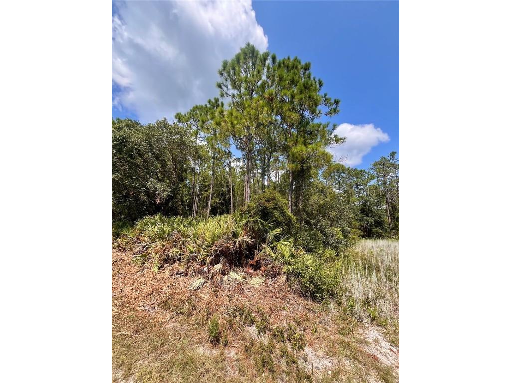 182 Millican Road Palatka FL 32177 OK225195 image9