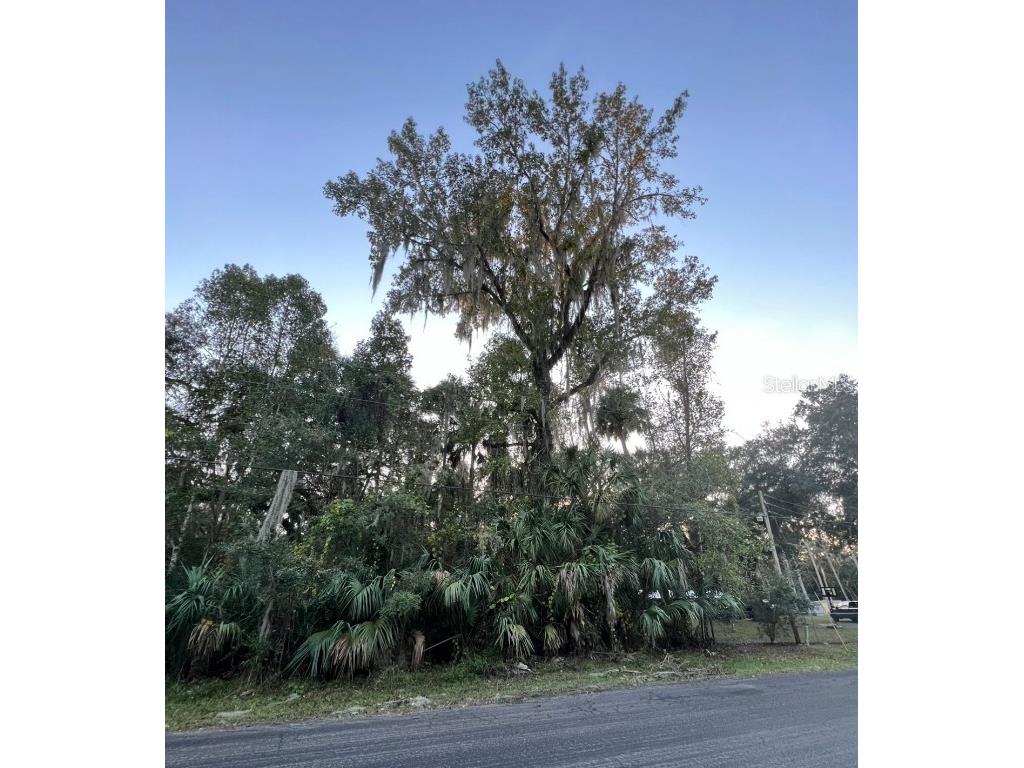 182 Robin Hood Road Inverness FL 34450 - WITHLACOOCHEE RIVER W7850382 image1