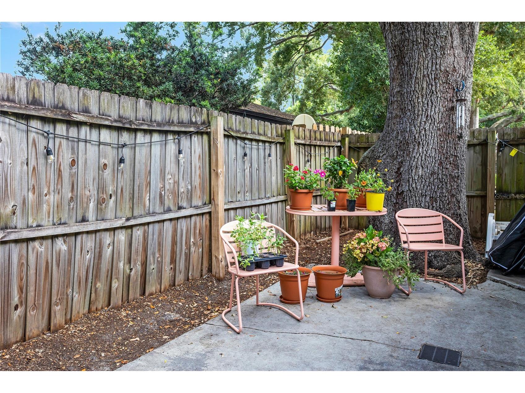 182 Sunward Avenue Palm Harbor FL 34684 TB8524727 image27