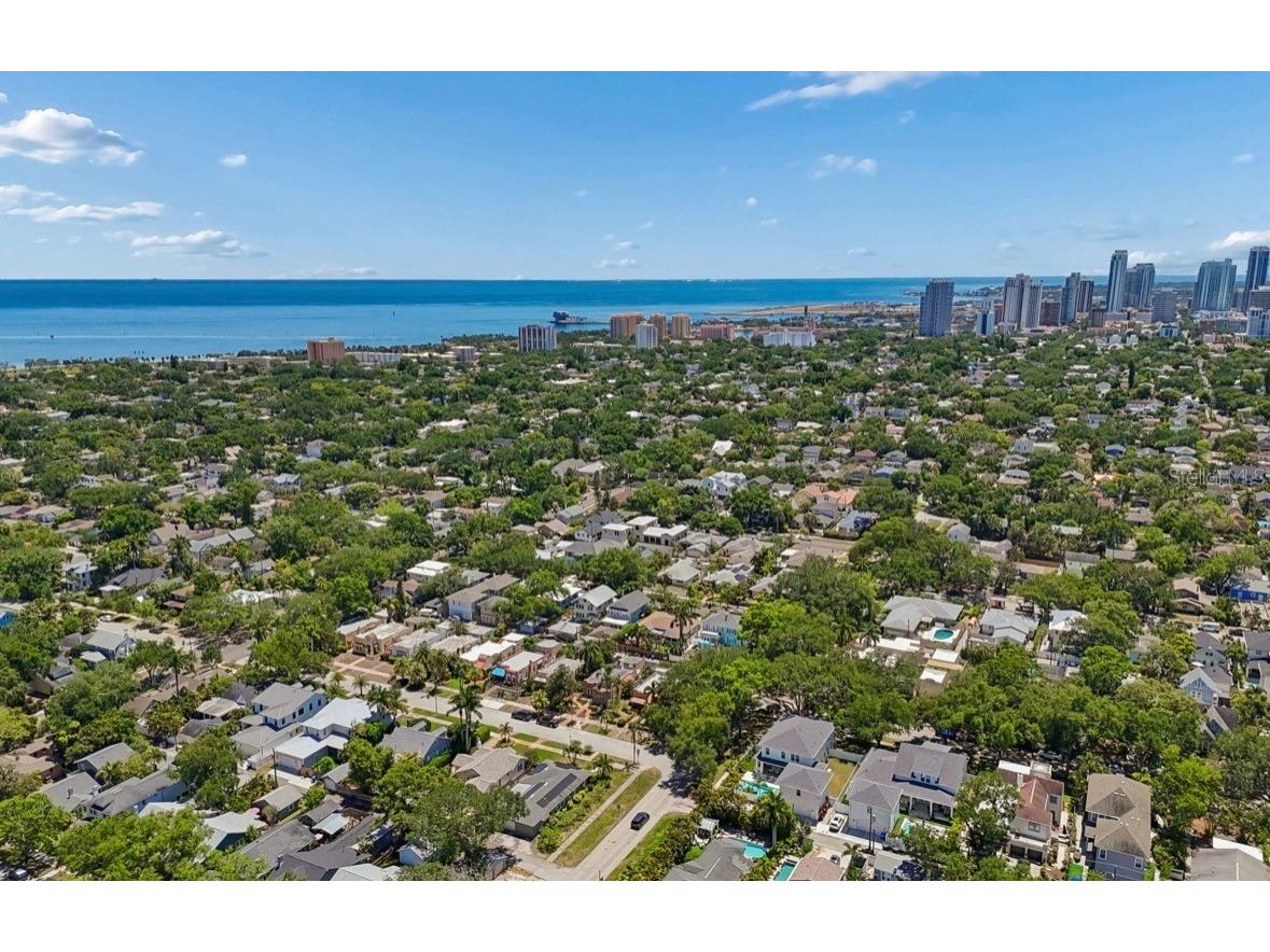 1820 1st Street N Saint Petersburg FL 33704 TB8503355 image97