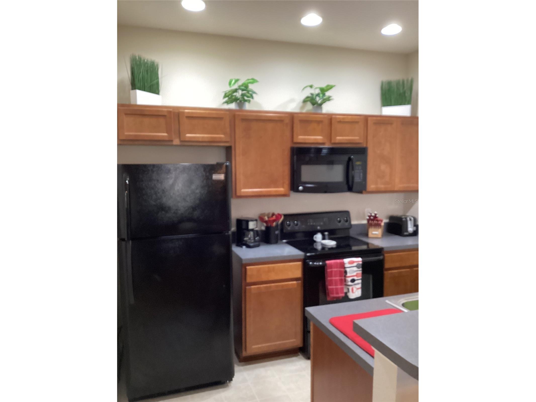 1820 Coriander Drive Poinciana FL 34759 P4937594 image29