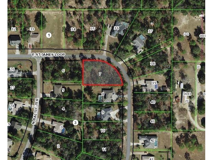 1820 E Saint James Loop Inverness FL 34453 TB8348255 image1