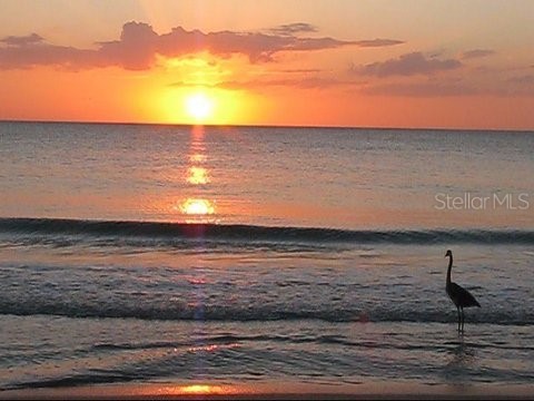 1820 Gulf Boulevard Englewood FL 34223 - GULF OF MEXICO D6140065 image19