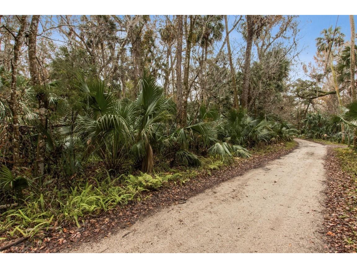 1820 Turtle Hill Road Deltona FL 32725 O6273637 image1