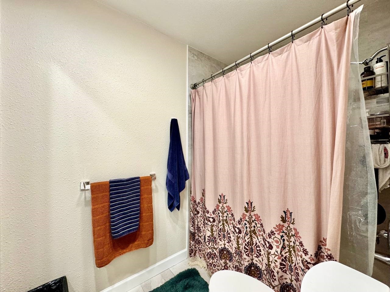 18200 Cypress Cove Lane Lutz FL 33549 - LAKE STEMPER TB8513284 image32