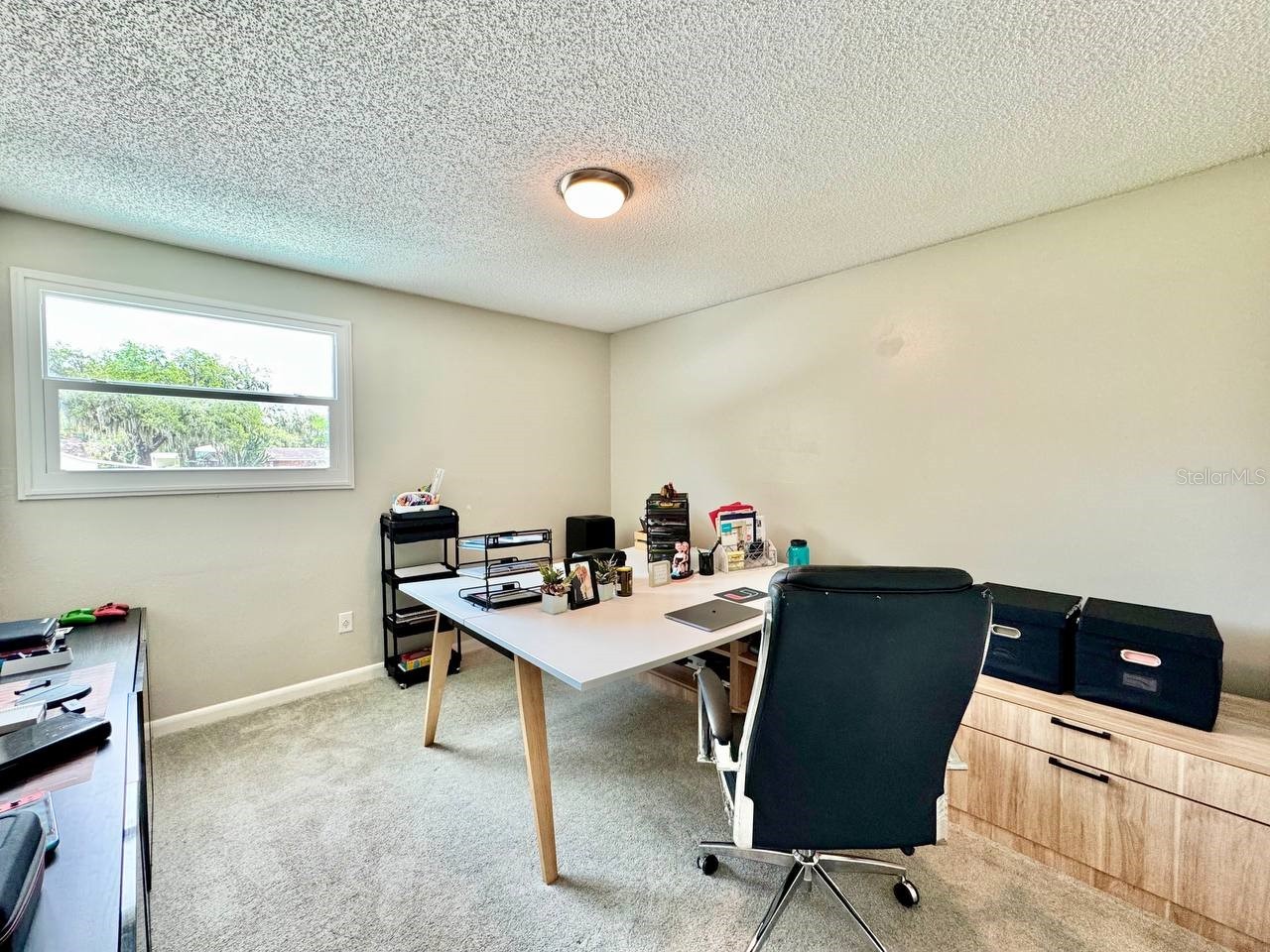 18200 Cypress Cove Lane Lutz FL 33549 - LAKE STEMPER TB8513284 image35