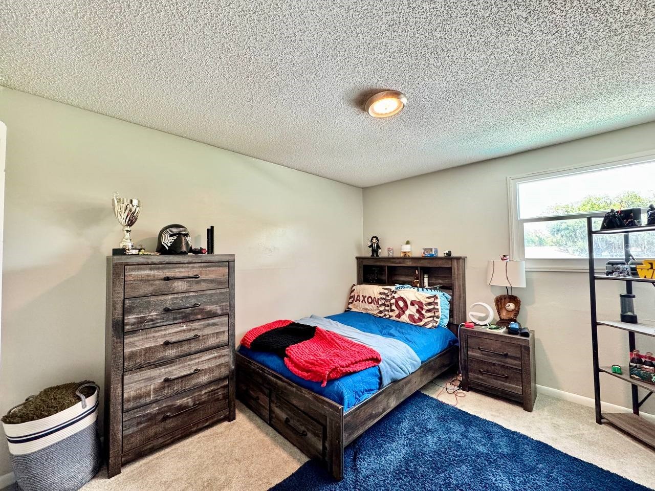 18200 Cypress Cove Lane Lutz FL 33549 - LAKE STEMPER TB8513284 image38