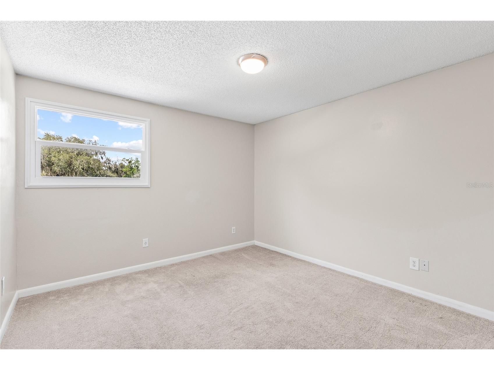 18200 Cypress Cove Lane Lutz FL 33549 - LAKE STEMPER TB8528738 image43