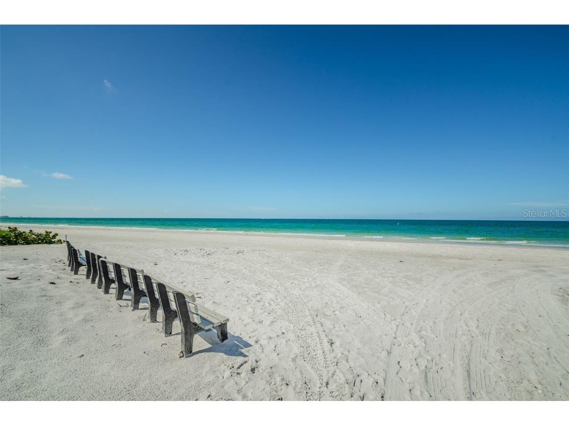 18201 Gulf Boulevard #201 Redington Shores FL 33708 TB8374171 image35