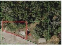 18205 State Road 52 Land O Lakes FL 34638 U8216413 image1