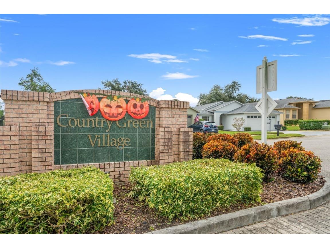 18208 Breland Drive Hudson FL 34667 W7879791 image33