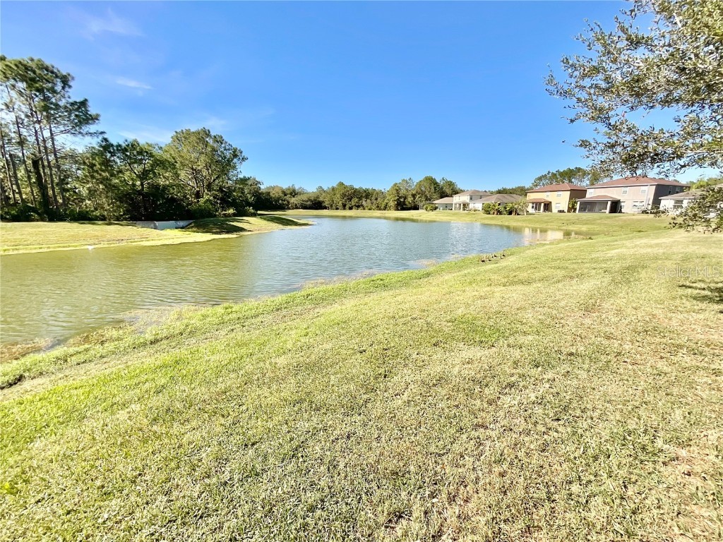 18208 Saltwater Run Place Tampa FL 33647 TB8425051 image14