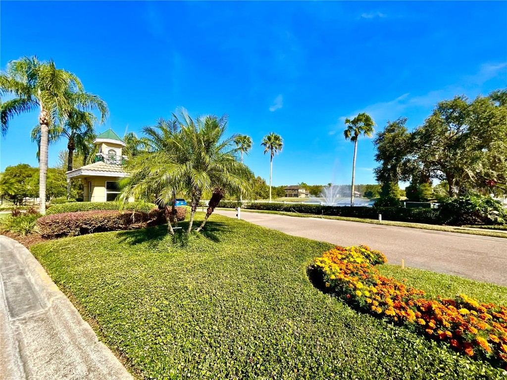 18208 Saltwater Run Place Tampa FL 33647 TB8425051 image15