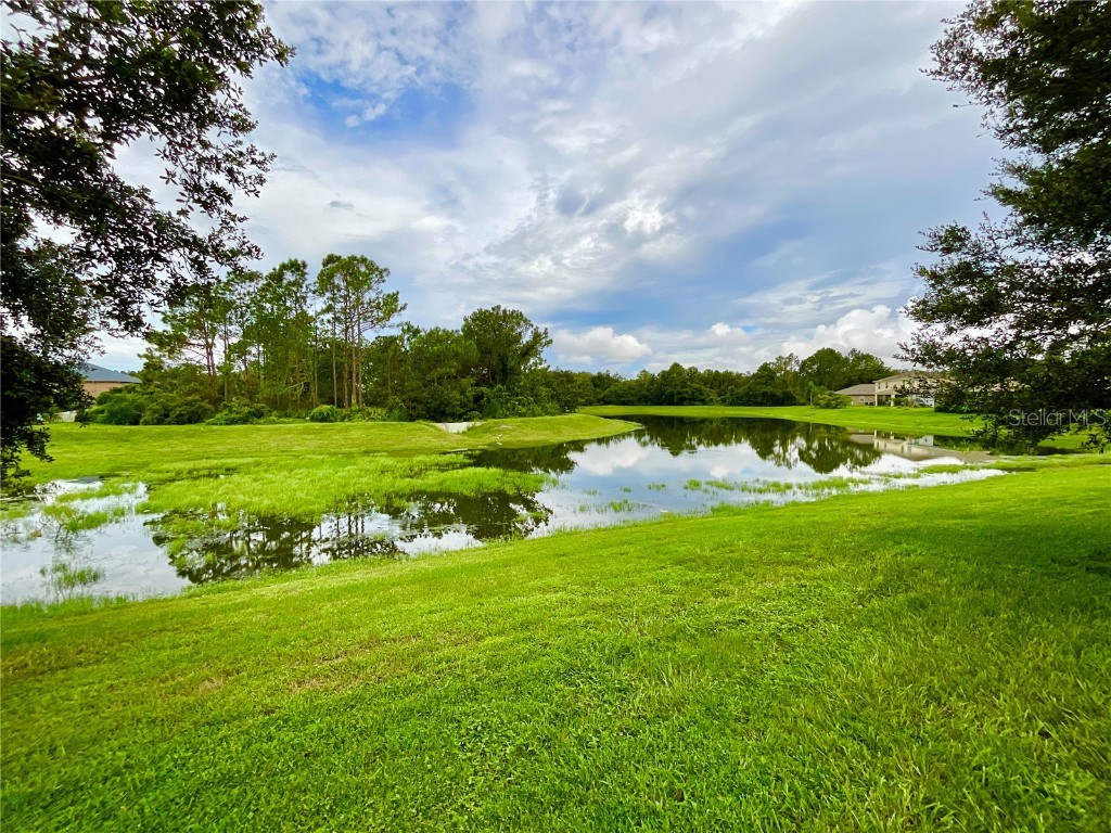 18208 Saltwater Run Place Tampa FL 33647 TB8425051 image18