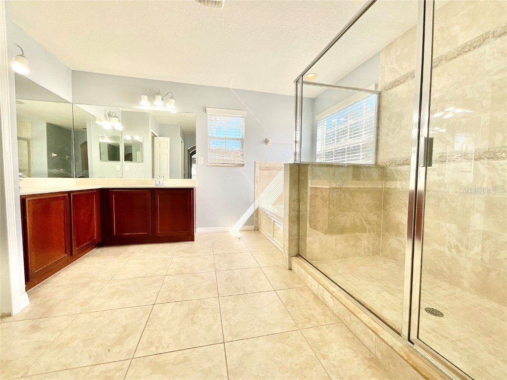 18208 Saltwater Run Place Tampa FL 33647 TB8425051 image22