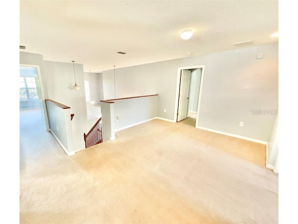 18208 Saltwater Run Place Tampa FL 33647 TB8425051 image25