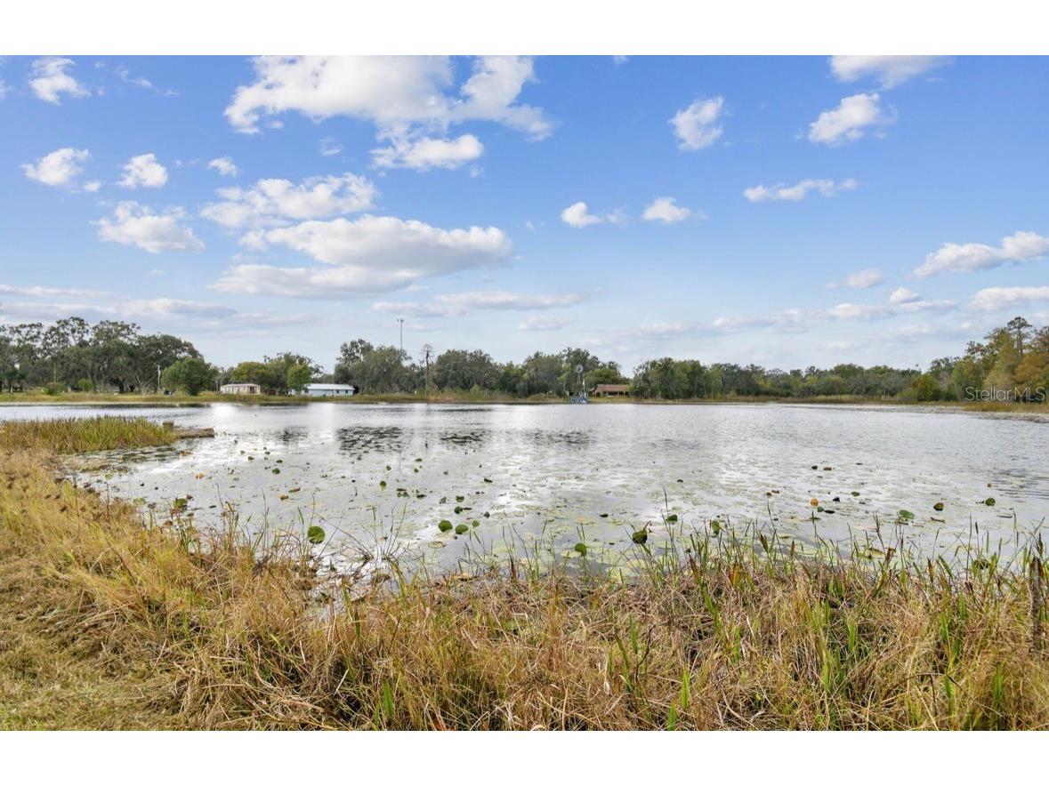 18208 State Road 52 Land O Lakes FL 34638 TB8453423 image45