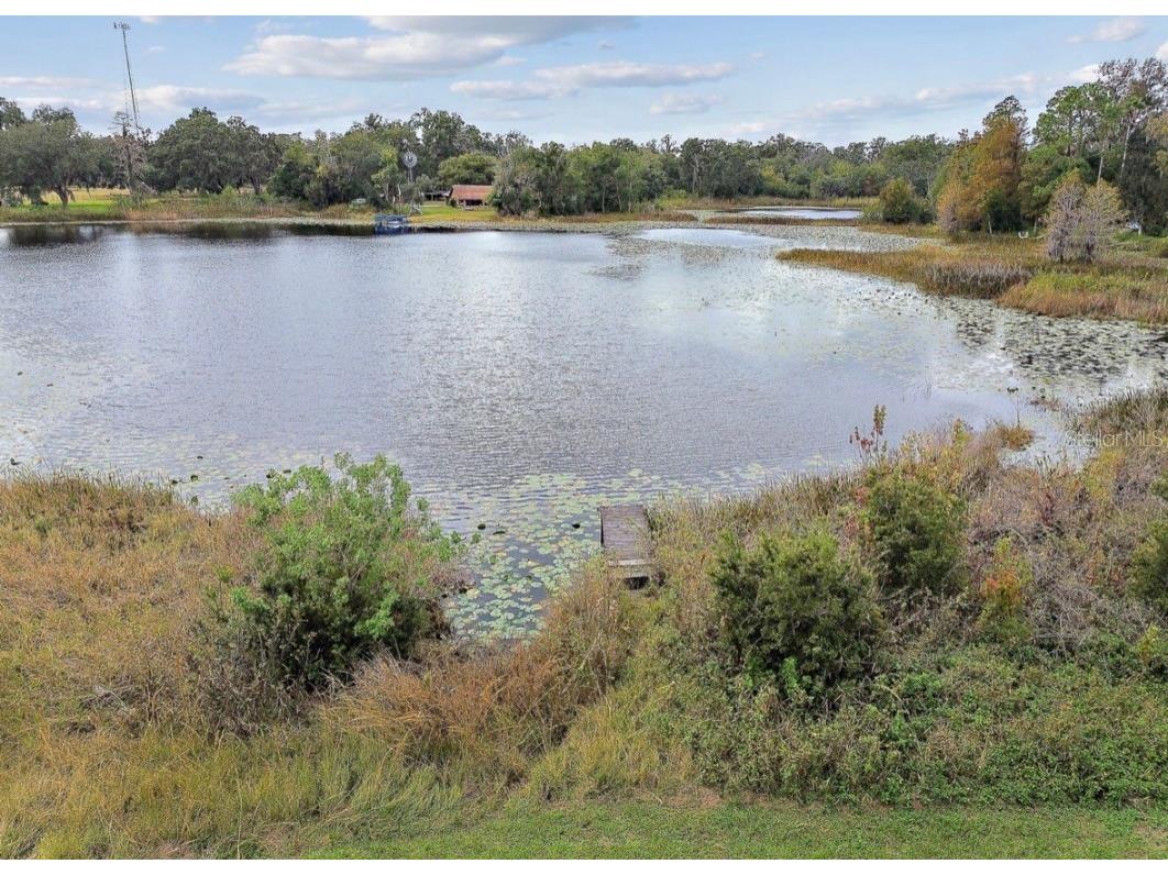 18208 State Road 52 Land O Lakes FL 34638 TB8453423 image48