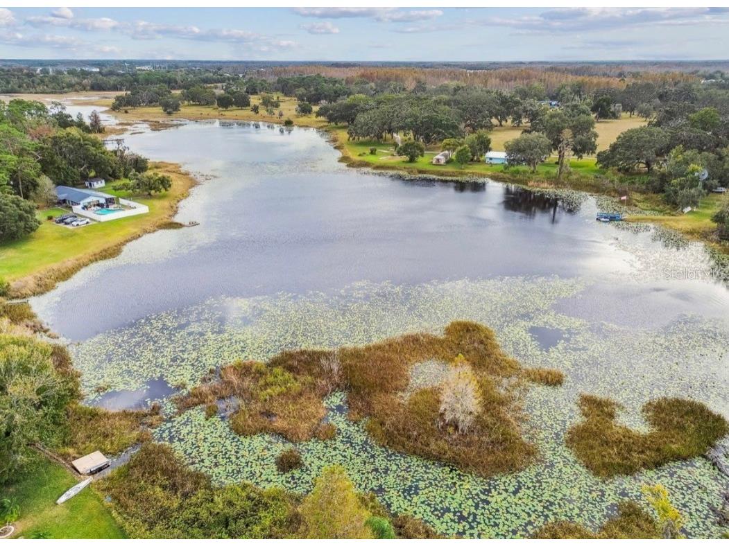 18208 State Road 52 Land O Lakes FL 34638 TB8453423 image53