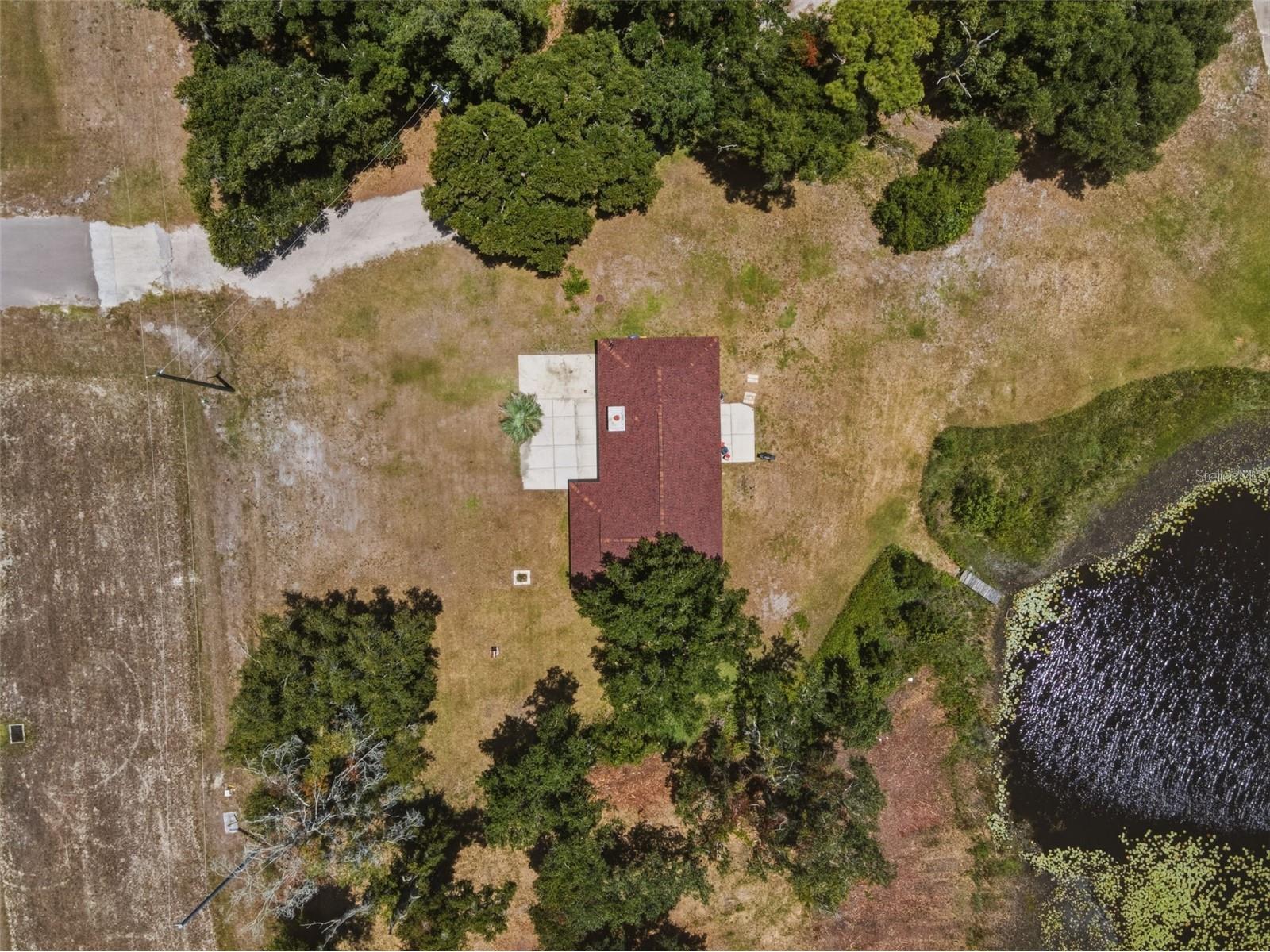18208 State Road 52 Land O Lakes FL 34638 W7886931 image11