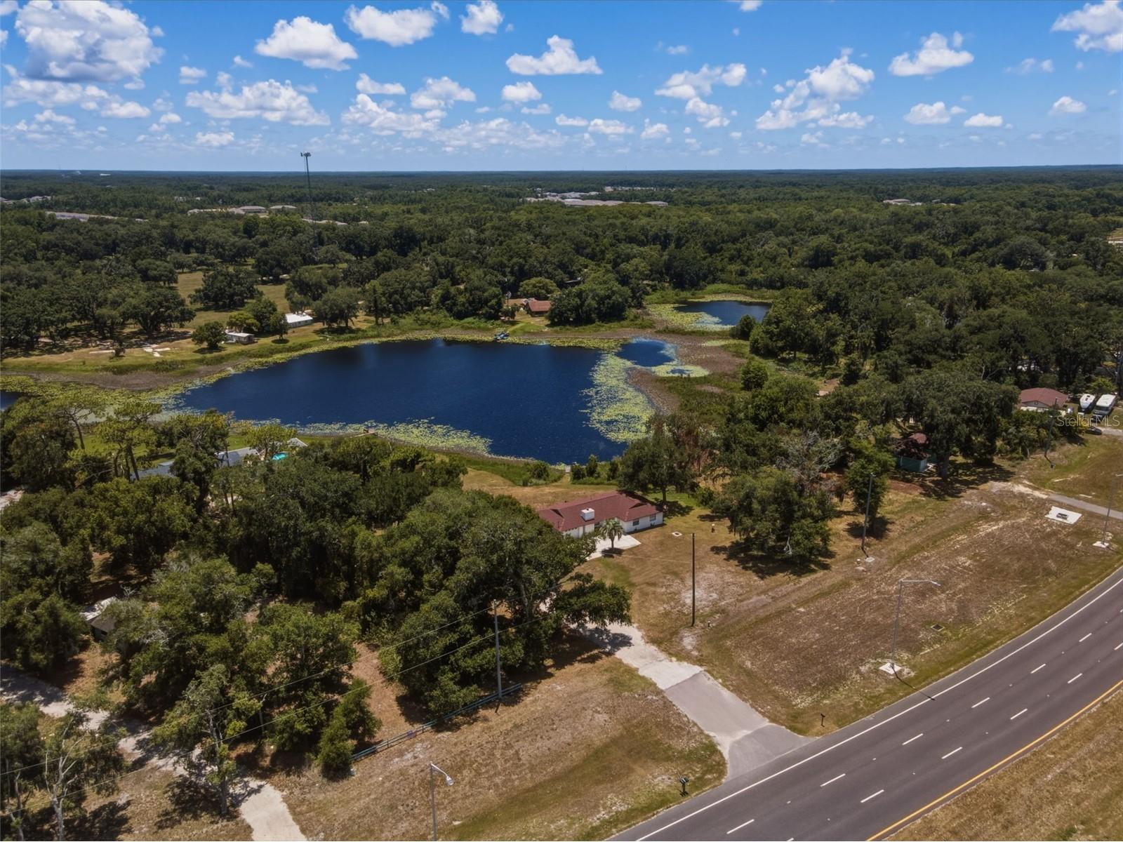 18208 State Road 52 Land O Lakes FL 34638 W7886931 image14