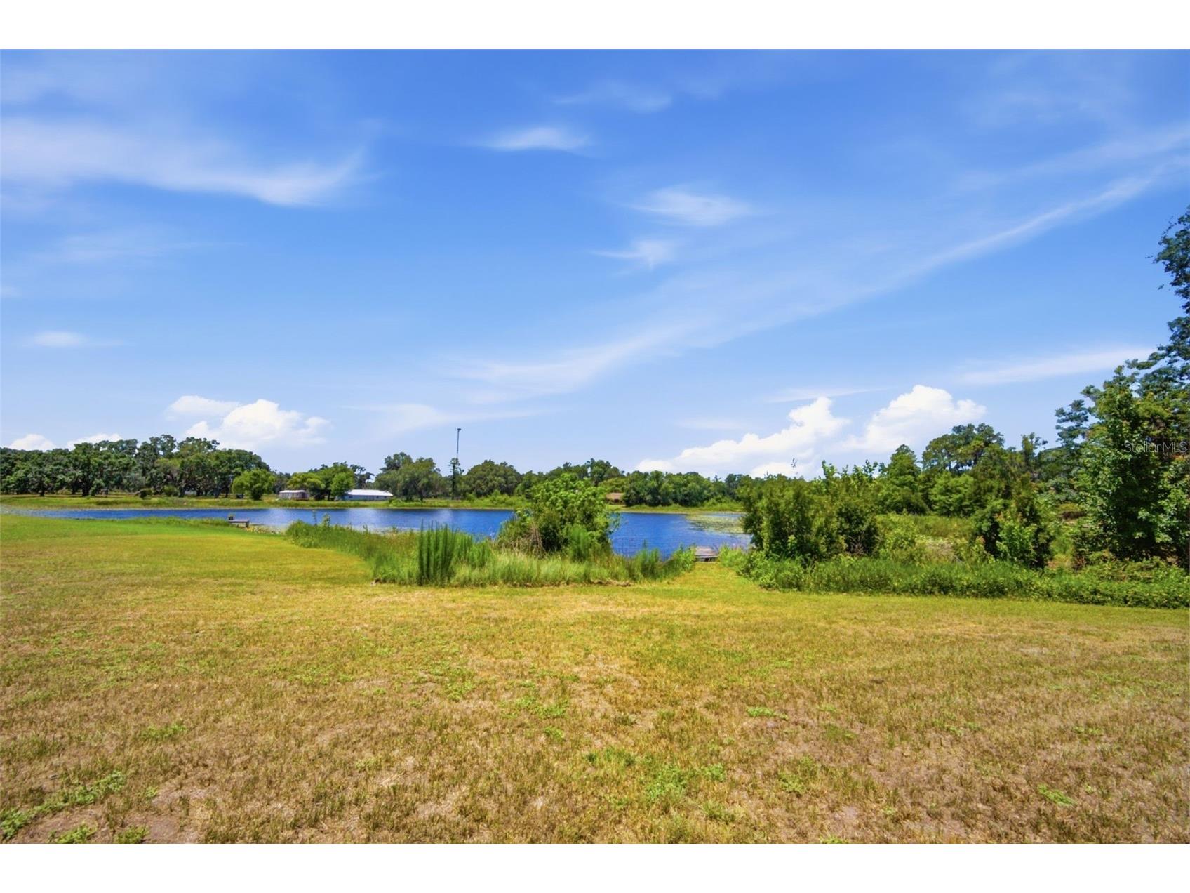 18208 State Road 52 Land O Lakes FL 34638 W7886931 image39