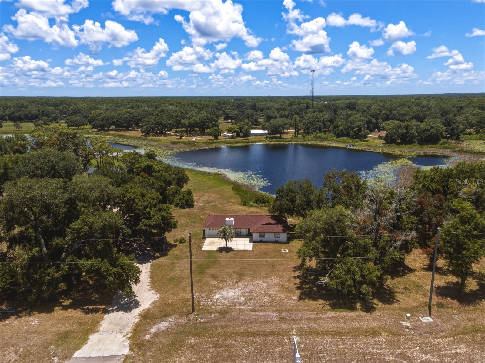 18208 State Road 52 Land O Lakes FL 34638 W7886931 image6