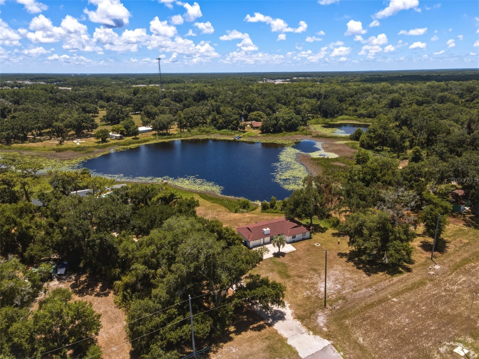 18208 State Road 52 Land O Lakes FL 34638 W7886931 image7