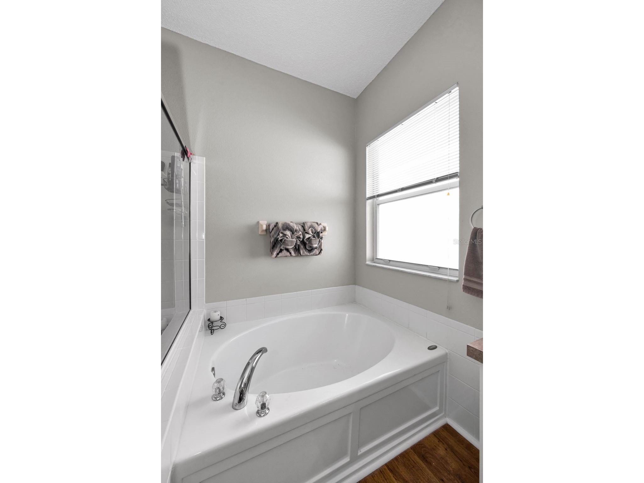 1821 Alvara Place Trinity FL 34655 TB8514603 image14