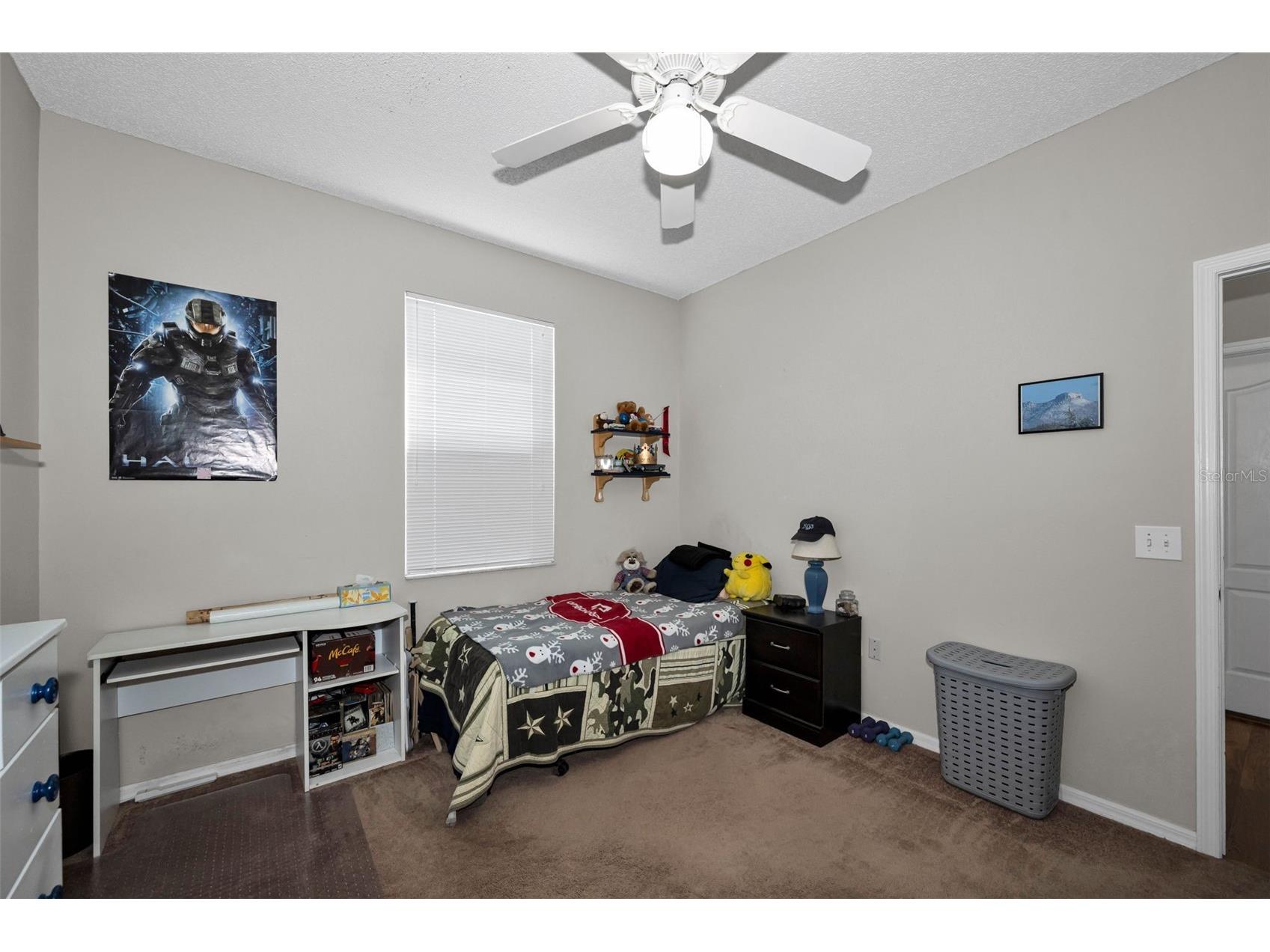 1821 Alvara Place Trinity FL 34655 TB8514603 image30