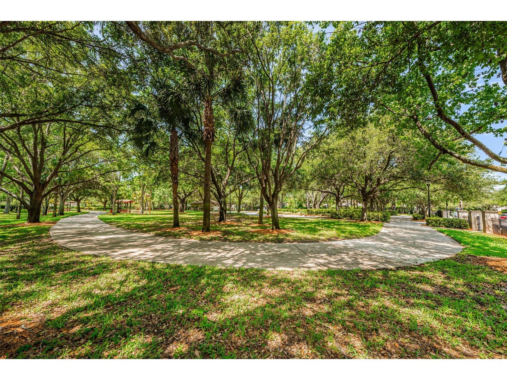 1821 Alvara Place Trinity FL 34655 TB8514603 image40