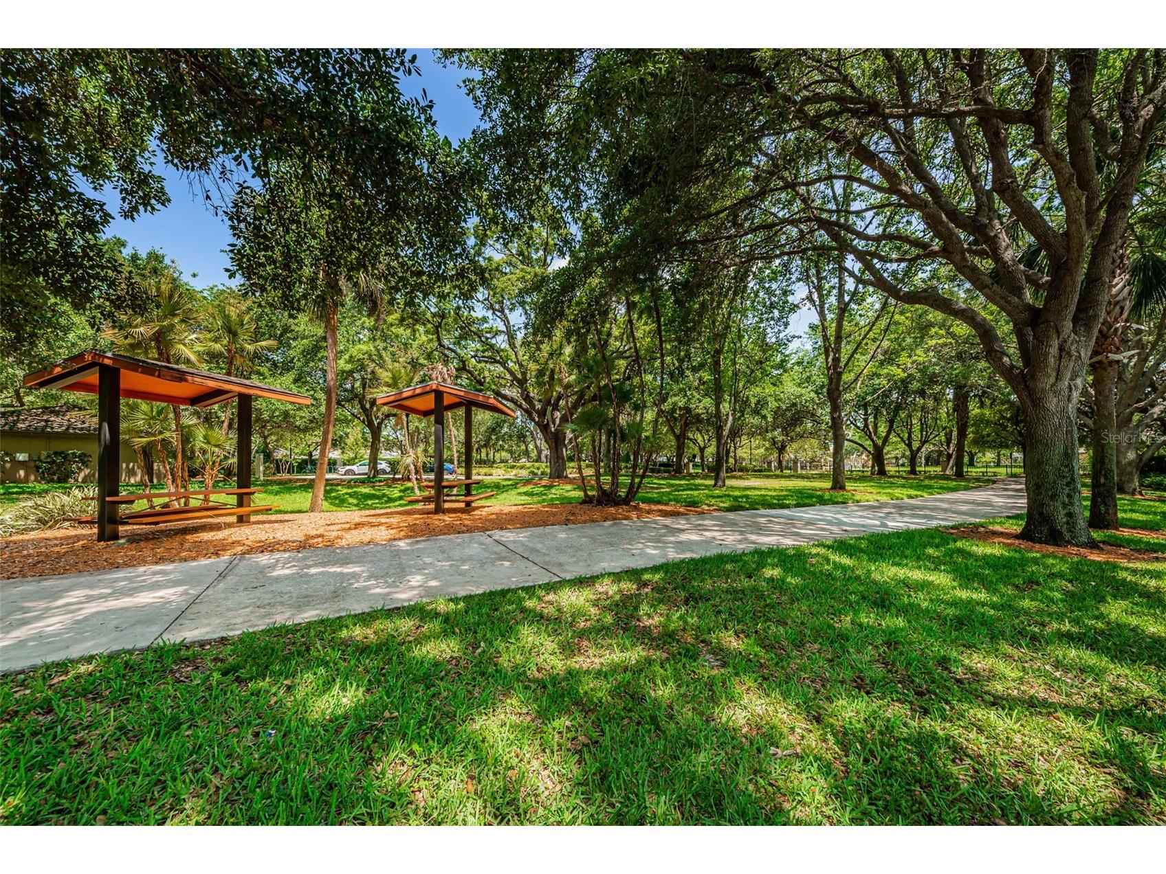 1821 Alvara Place Trinity FL 34655 TB8514603 image41