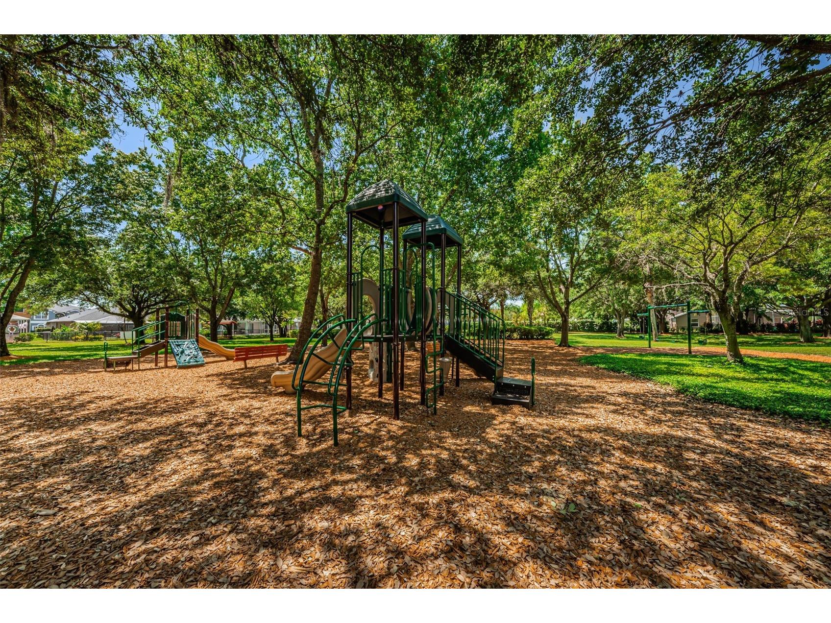 1821 Alvara Place Trinity FL 34655 TB8514603 image43