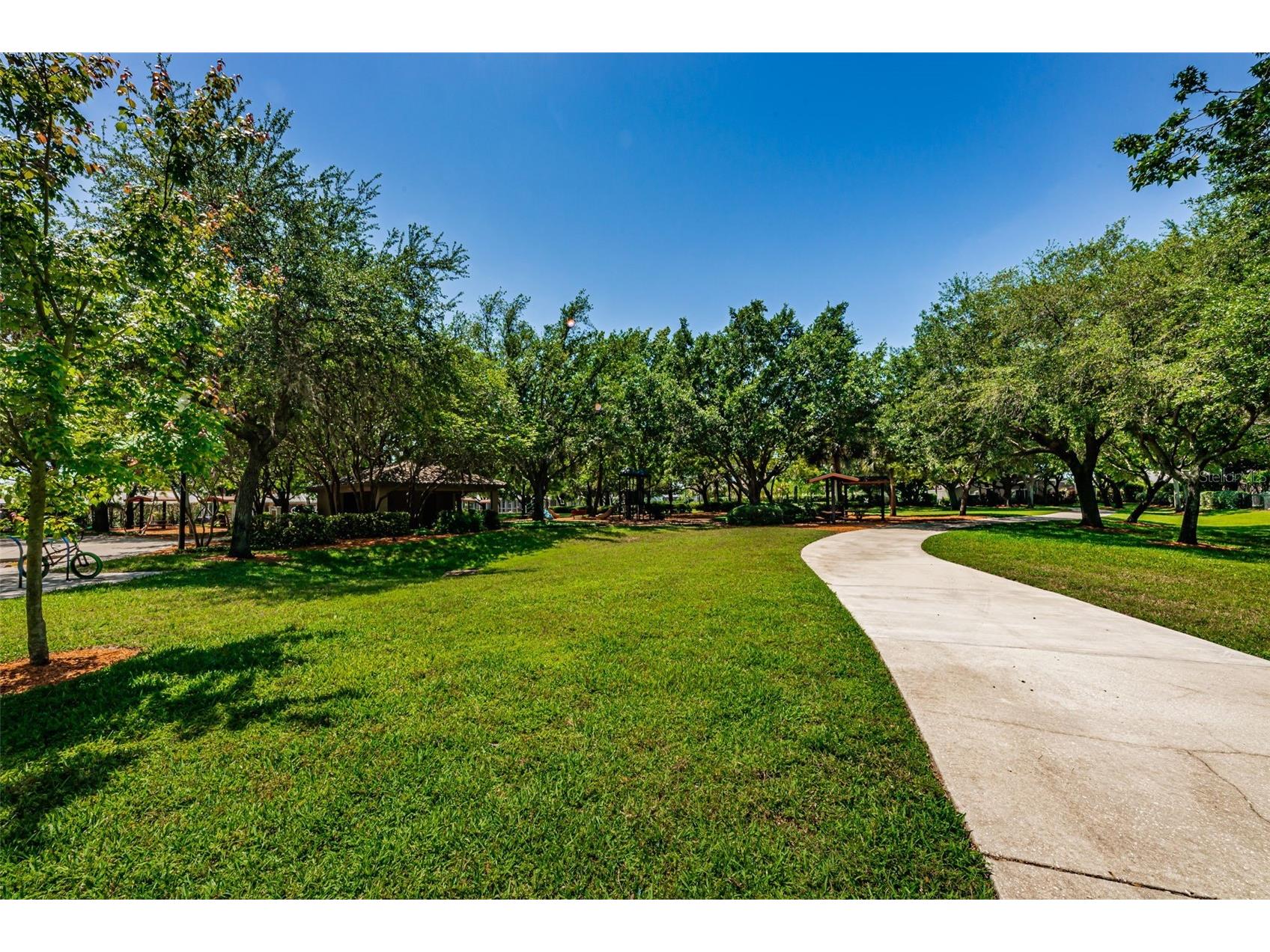 1821 Alvara Place Trinity FL 34655 TB8514603 image45