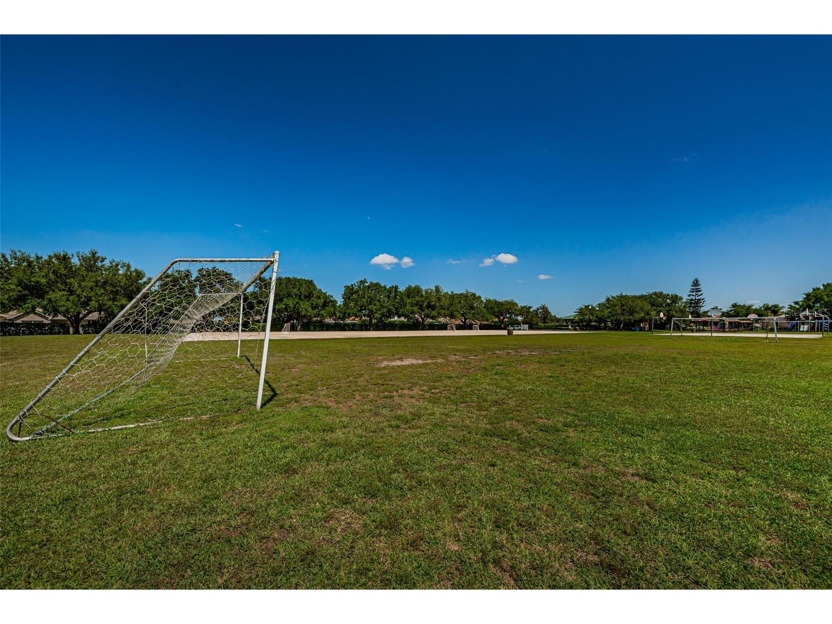 1821 Alvara Place Trinity FL 34655 TB8514603 image51