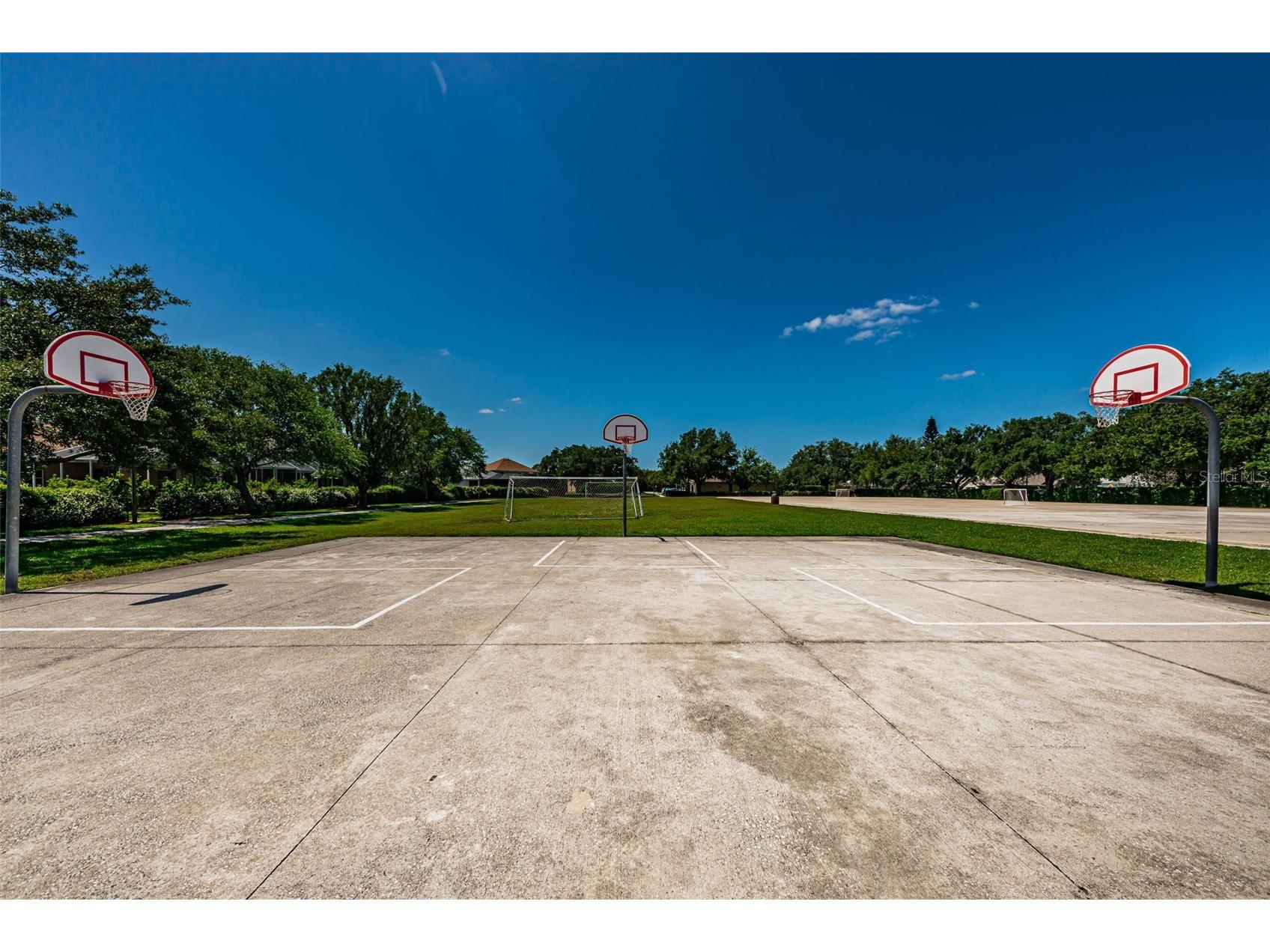 1821 Alvara Place Trinity FL 34655 TB8514603 image54