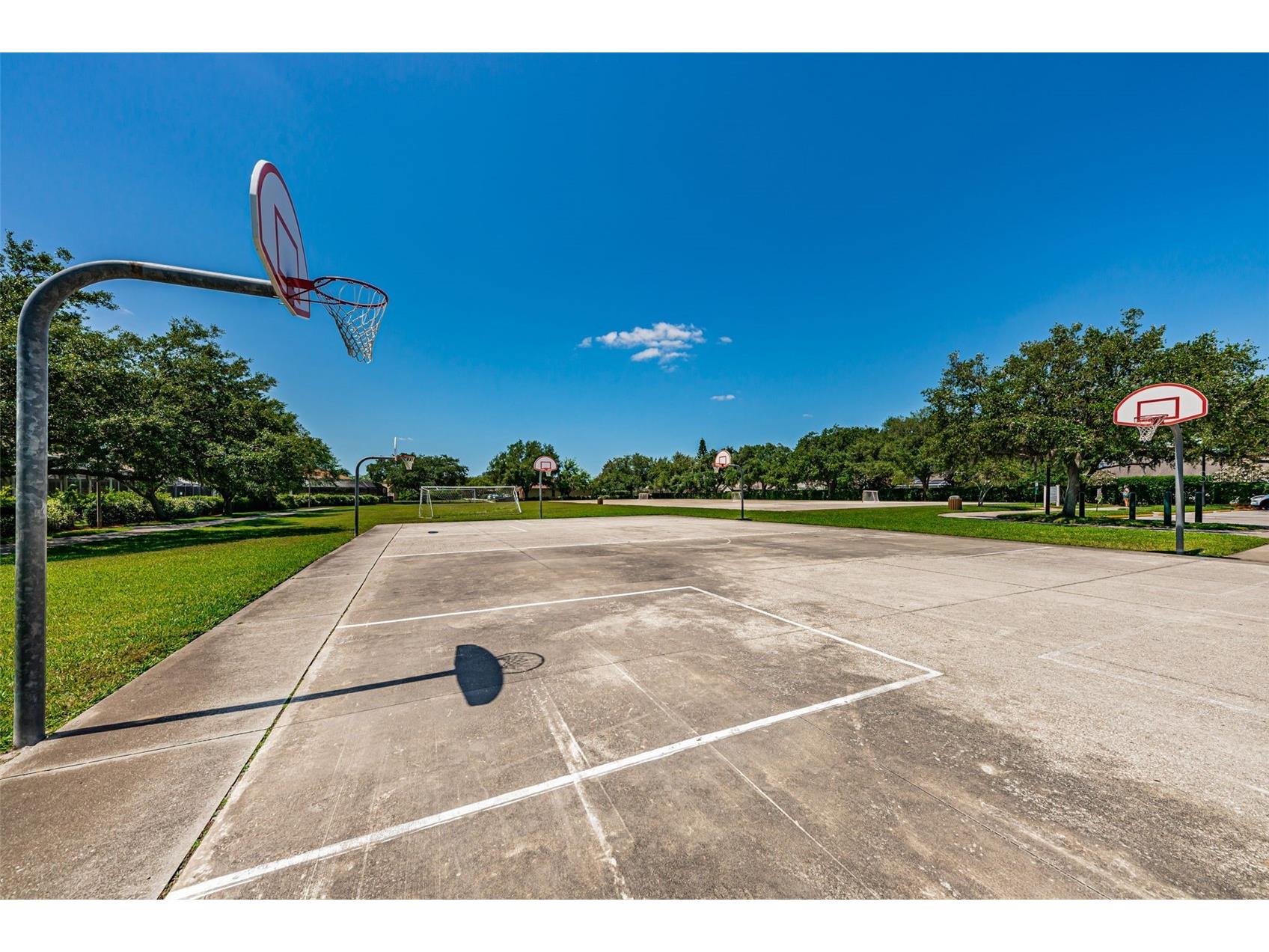 1821 Alvara Place Trinity FL 34655 TB8514603 image55
