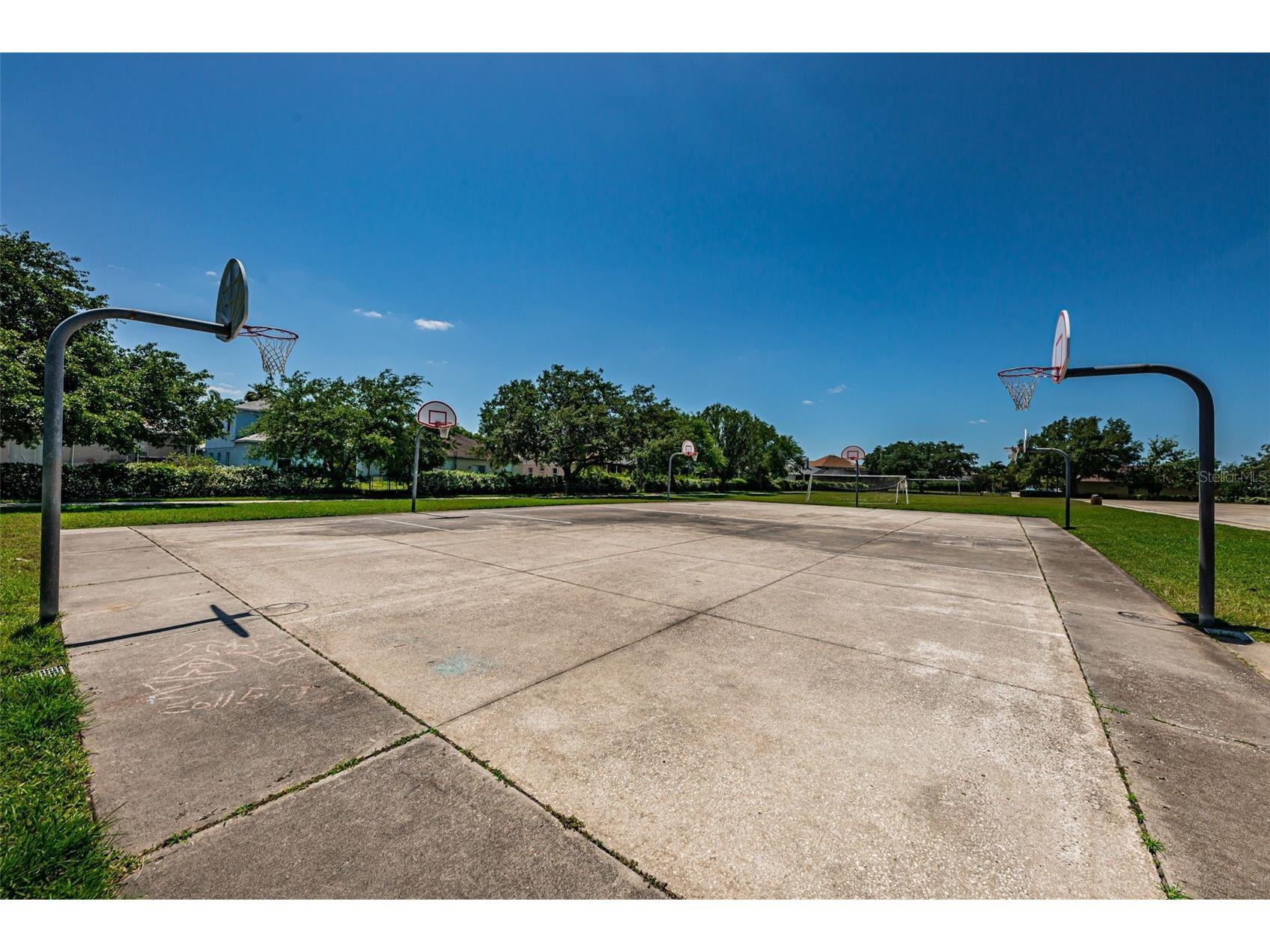 1821 Alvara Place Trinity FL 34655 TB8514603 image56