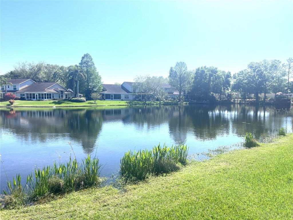 1821 Lake Heron Drive Lutz FL 33549 - LAKE HERON T3515327 image1