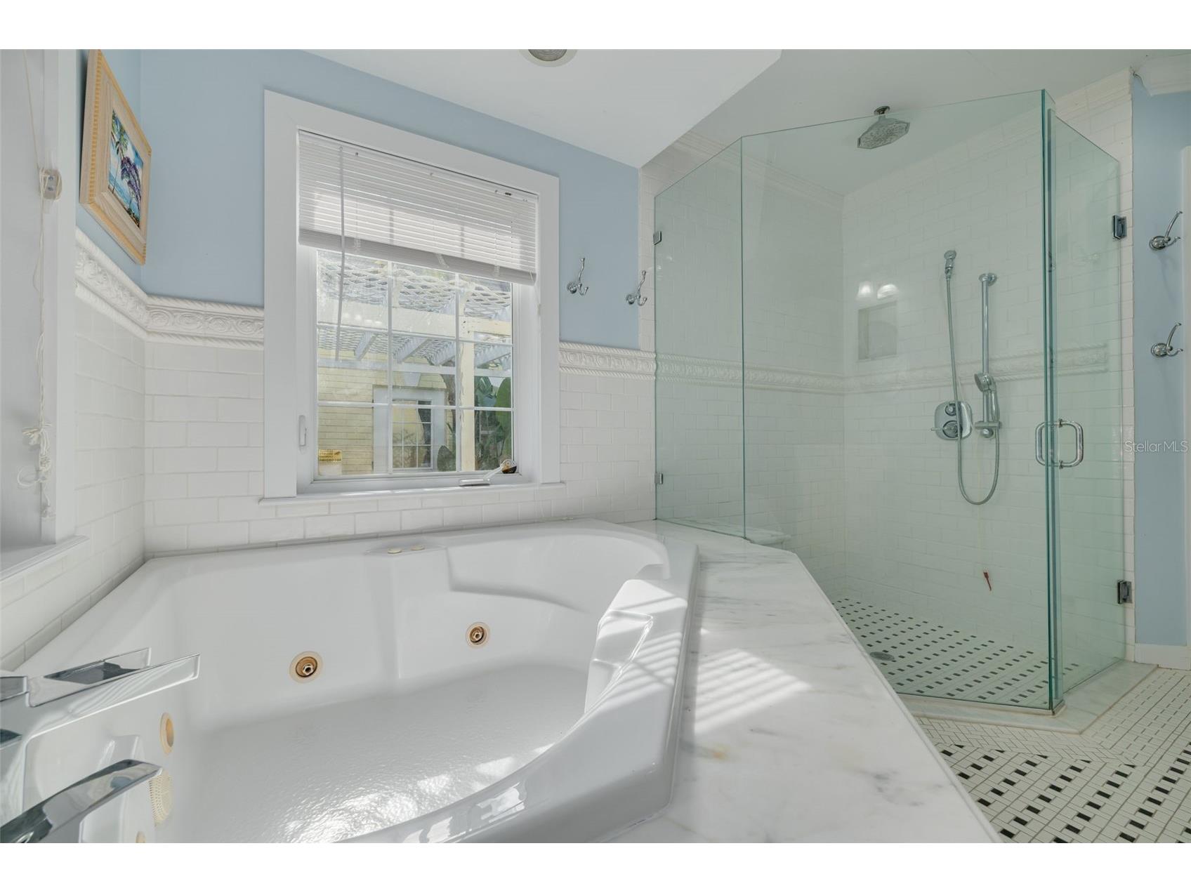 1821 Oak Creek Drive Dunedin FL 34698 TB8516583 image50